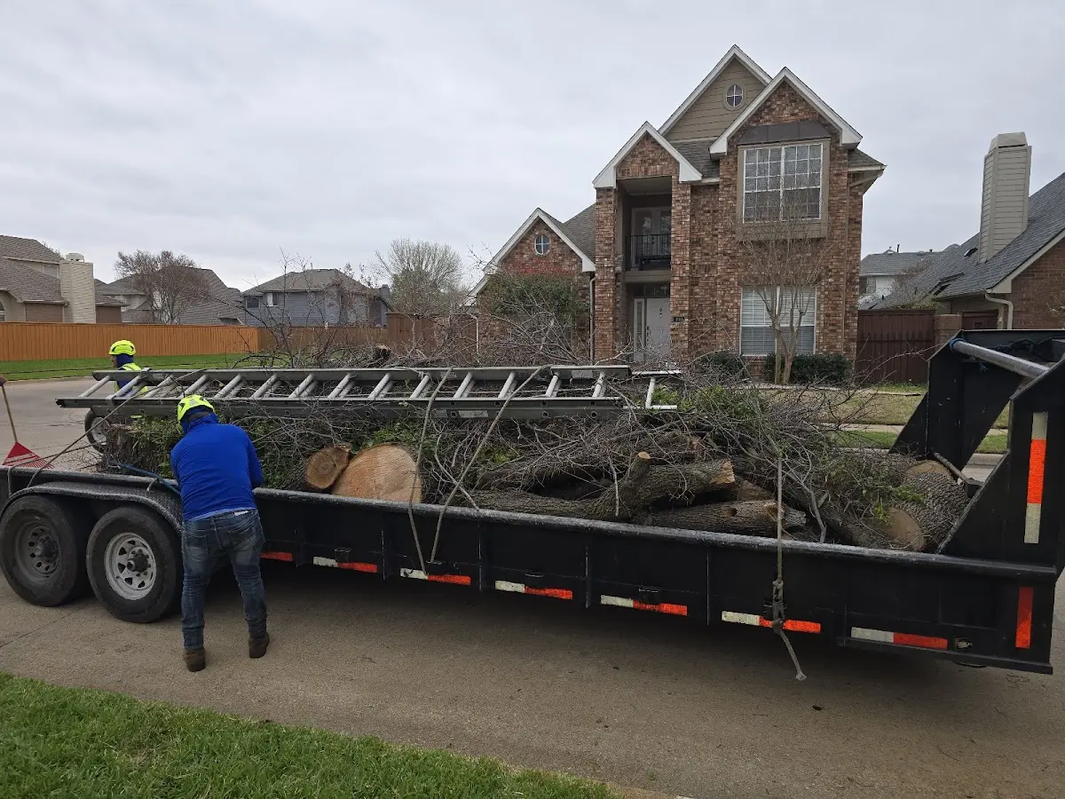Expert Lot Clearing with proper safety equipment in Clayton